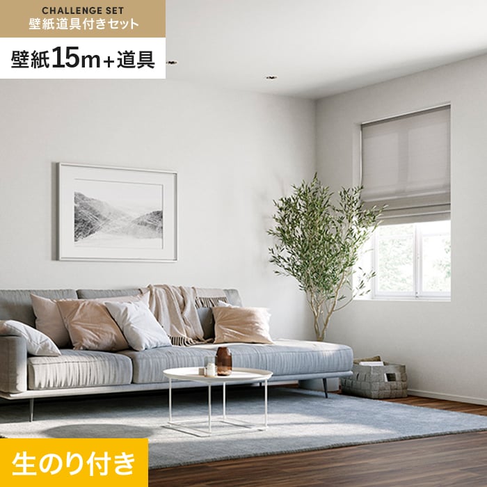 �ǎ� �N���X �̂�t�� �`�������W�Z�b�g (�X���b�g�ǎ�90cm��+����) 15m SP2529
