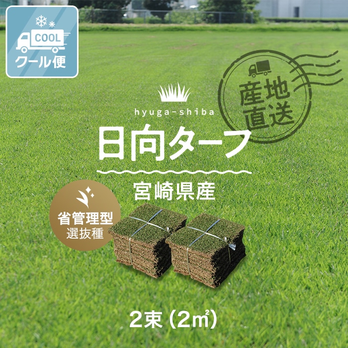 天然芝 クール便 芝生 野芝 日向ターフ 省管理型 宮崎県産 2束（2平米）入 : jks-hs0007 : DIYSHOP RESTA  Yahoo!店 - 通販 - Yahoo!ショッピング