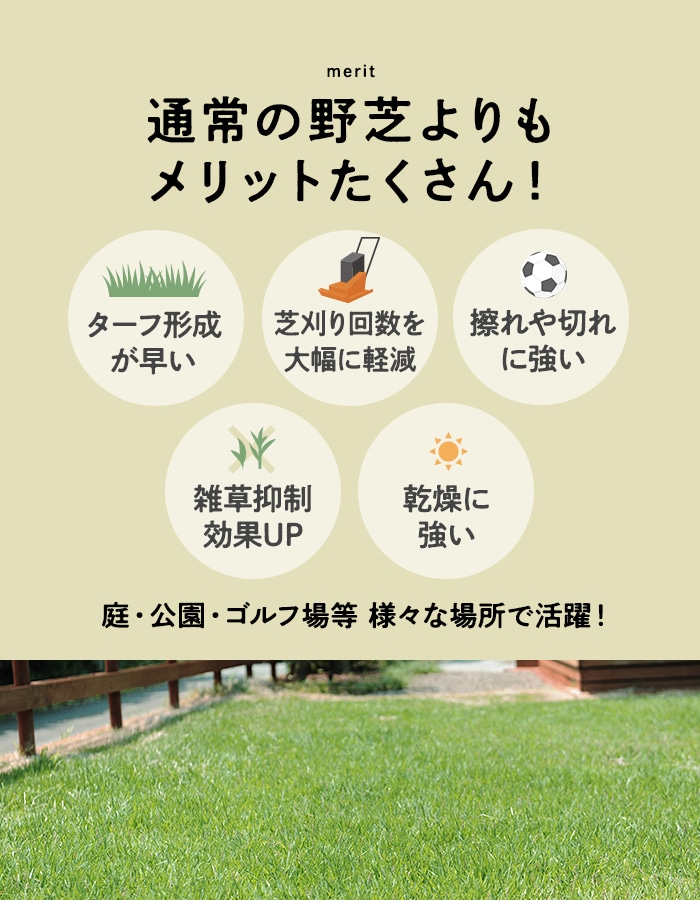 天然芝 クール便 芝生 野芝 日向ターフ 省管理型 宮崎県産 2束（2平米