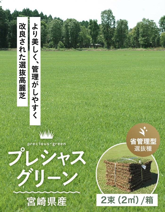 天然芝 芝生 高麗芝 プレシャスグリーン 省管理型 宮崎県 2束（2平米
