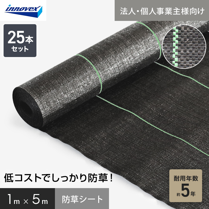 �h���V�[�g �@�l�E�l���Ǝ�l��p �C�m�x�b�N�X �X�^���_�[�h5 1m×5m 25�{�Z�b�g 5�N