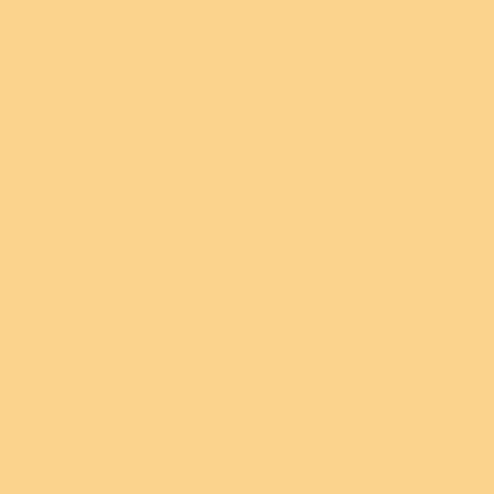 塗料 リボス 自然健康塗料 天然鉱物顔料（デュブロン着色用顔料） ウラ #410 2.5L｜kabegamiyasan｜02