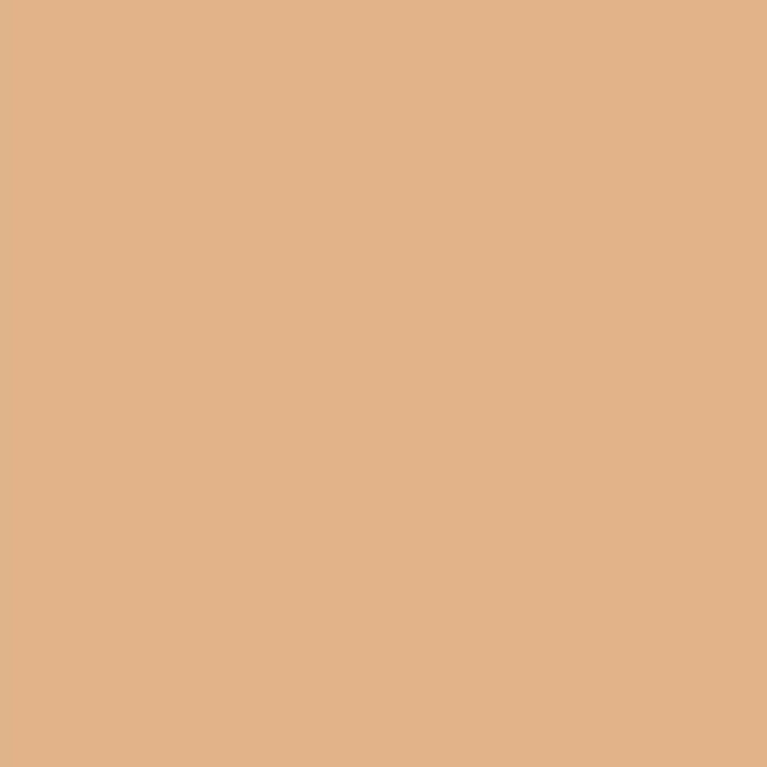塗料 リボス 自然健康塗料 天然鉱物顔料（デュブロン着色用顔料） ウラ #424 2.5L｜kabegamiyasan｜02