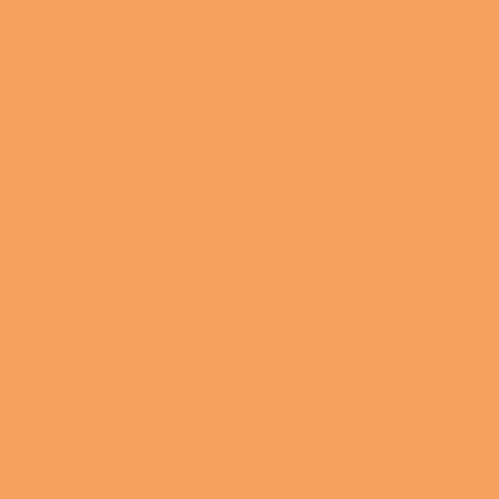 ペンキ 塗料 水性塗料 壁紙の上から塗るペンキ Navia サンプル 5g ブラウン・ベージュ系｜kabegamiyasan｜04