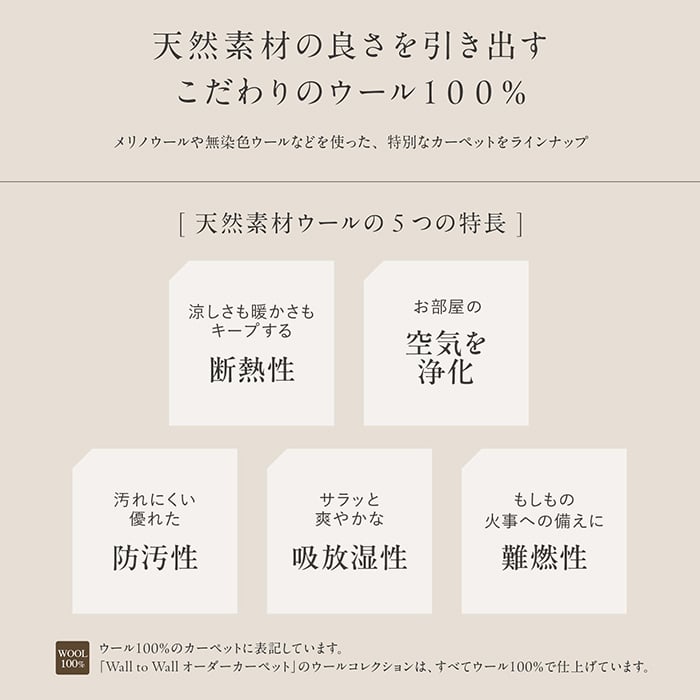 ラグカーペット カーペット アスワン アドニス 全厚11.5mm 190×290cm_13