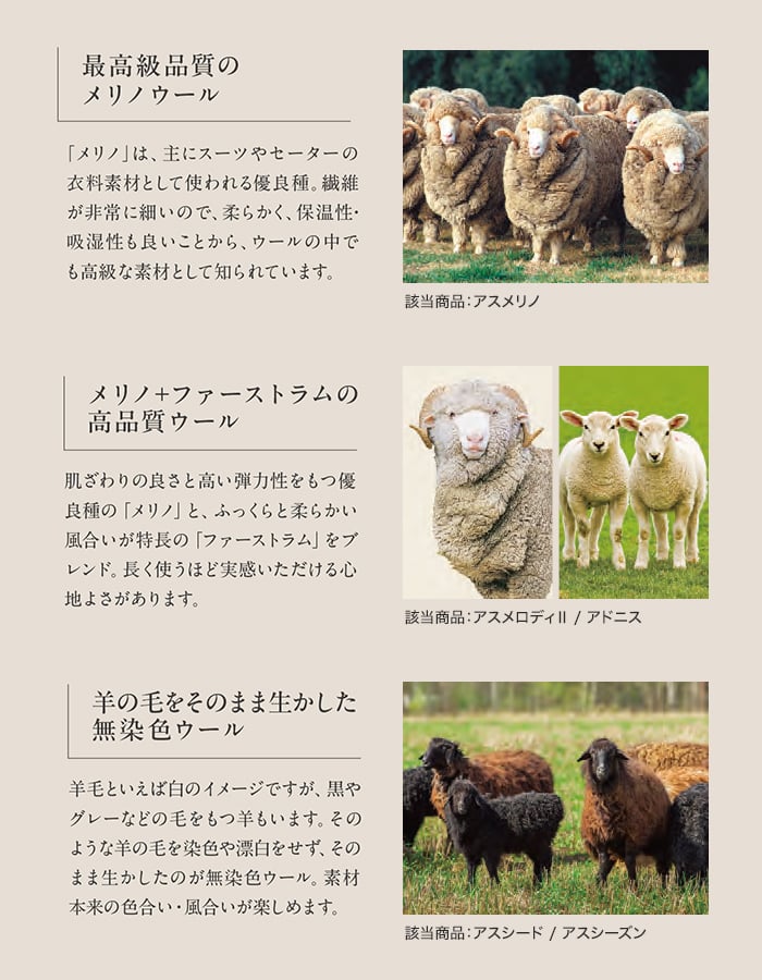 アスワン ラグカーペット カーペット ニューウールポリッシャー 全厚