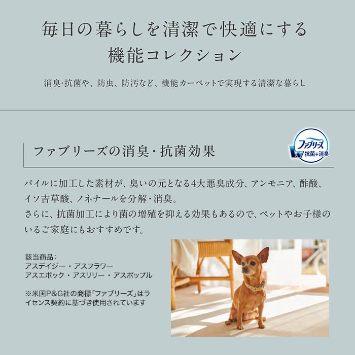 ラグカーペット カーペット アスワン アスフェアリー 全厚17mm 240×340cm_11