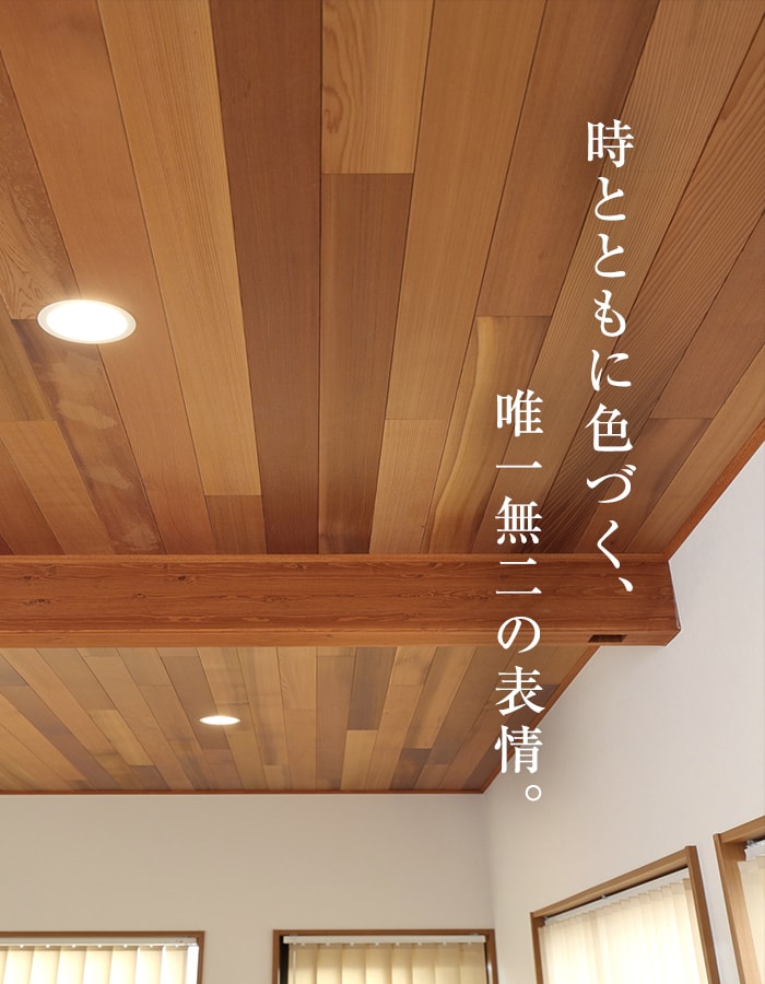 羽目板 ウエスタンレッドシダー 厚み8mm×幅88mm×長さ1830mm 10枚入 無 