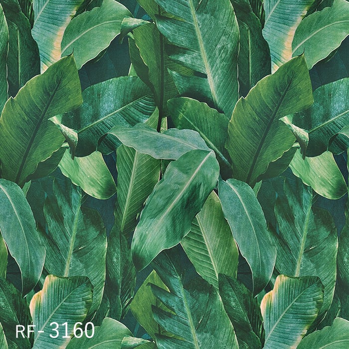 ルノン 壁紙 クロス のり付き ルノンフレッシュ パターン 巾92.5cm RF