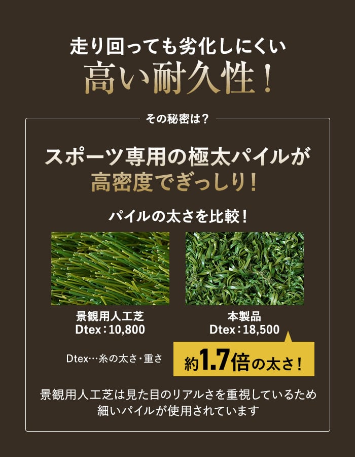 人工芝 ロール 2m×10m 芝丈20mm スポーツ用人工芝 遮熱 制電 : DIYSHOP
