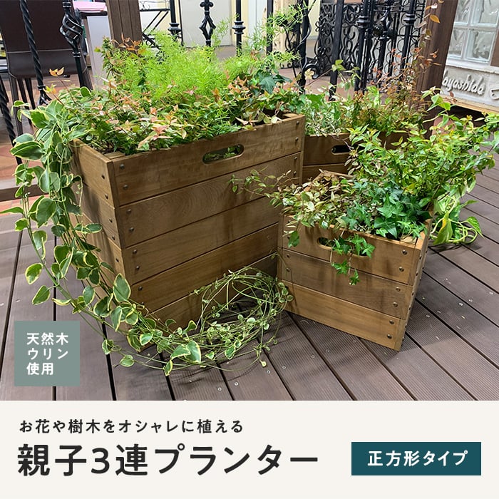 ウリン材（植木鉢、プランター）の商品一覧｜園芸用品 | 花、ガーデニング 通販 - Yahoo!ショッピング