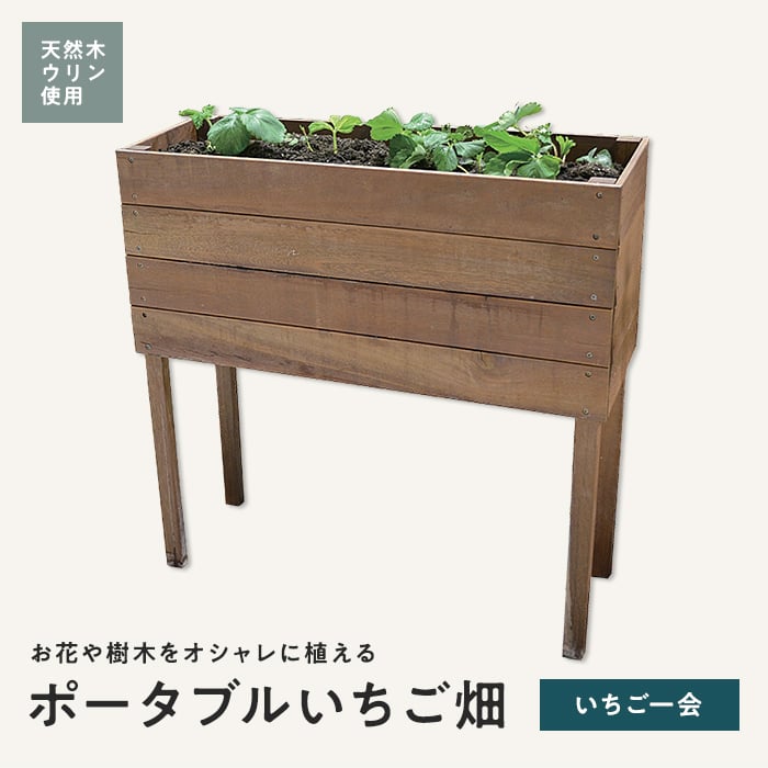 ウリン材（植木鉢、プランター）の商品一覧｜園芸用品 | 花、ガーデニング 通販 - Yahoo!ショッピング