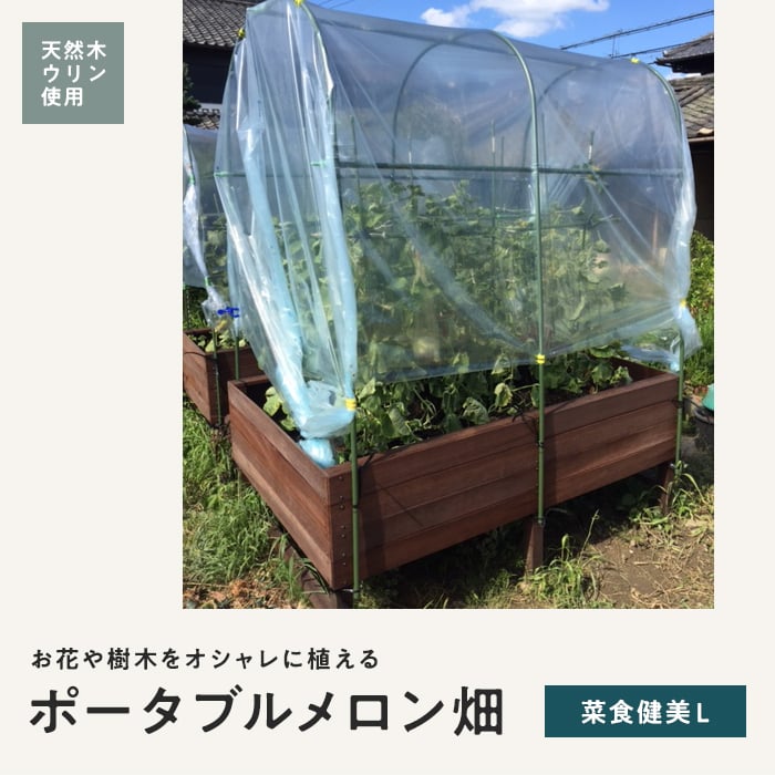 ウリン材（植木鉢、プランター）の商品一覧｜園芸用品 | 花、ガーデニング 通販 - Yahoo!ショッピング