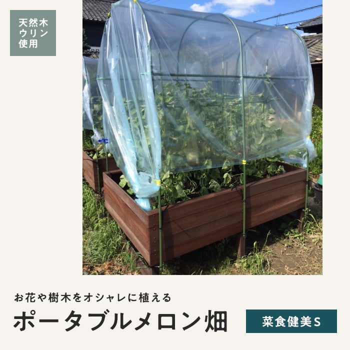 エクステリア プランター 大型 天然木 ウリン製 ポータブルメロン畑 菜食健美S 724×1800×750の画像