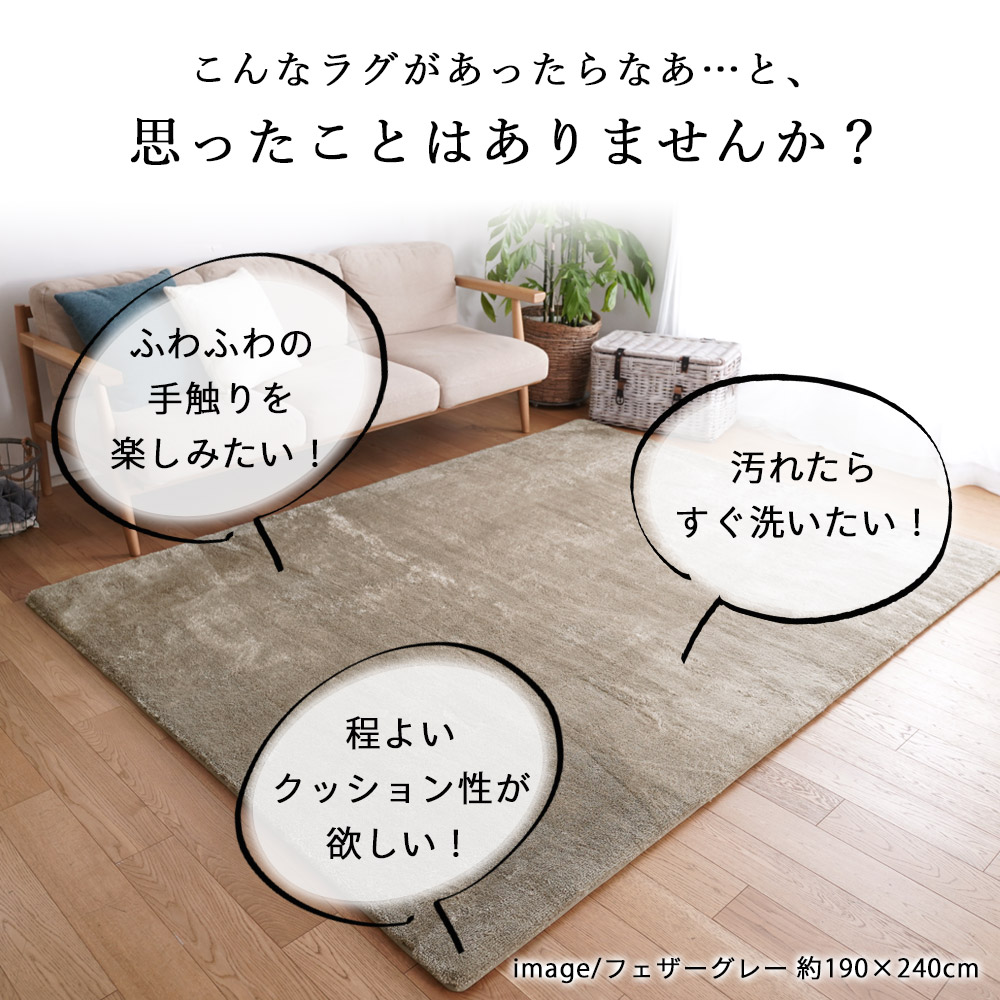 ラグ 新EXマイクロ2層ウレタン 高反発 190×240cm 約3帖 洗える オール 