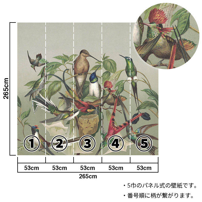 壁紙 輸入壁紙 rasch Curiosity 265x265cm 全6色 はがせる壁紙 貼って