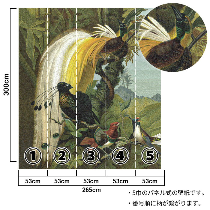 壁紙 輸入壁紙 rasch Curiosity 265x300cm 全1色 はがせる壁紙 貼ってはがせる壁紙 フリース壁紙 おしゃれ 張り替え diy 北欧 賃貸 インテリア ドイツ製_4