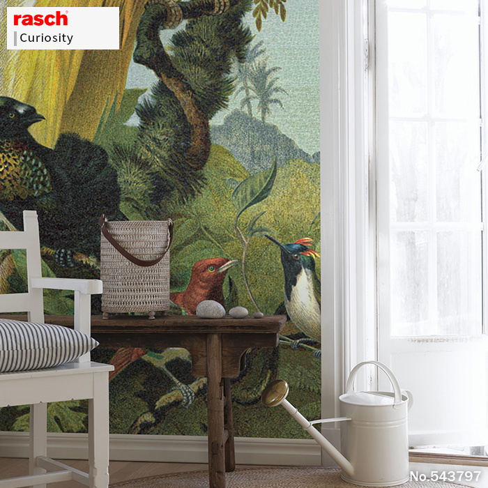 壁紙 輸入壁紙 rasch Curiosity 212x265cm 全1色 はがせる壁紙 貼ってはがせる壁紙 フリース壁紙 おしゃれ 張り替え diy 北欧 賃貸 インテリア ドイツ製の画像