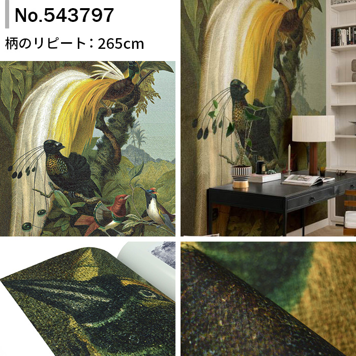 壁紙 輸入壁紙 rasch Curiosity 212x265cm 全1色 はがせる壁紙 貼ってはがせる壁紙 フリース壁紙 おしゃれ 張り替え diy 北欧 賃貸 インテリア ドイツ製の画像