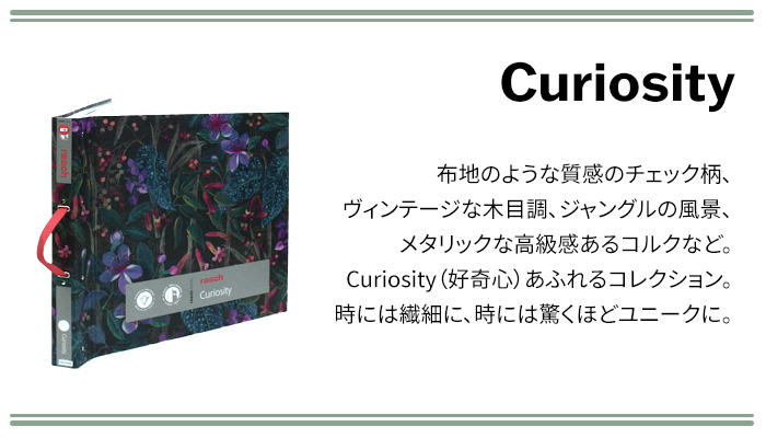 壁紙 輸入壁紙 rasch Curiosity 212x265cm 全1色 はがせる壁紙 貼ってはがせる壁紙 フリース壁紙 おしゃれ 張り替え diy 北欧 賃貸 インテリア ドイツ製の画像