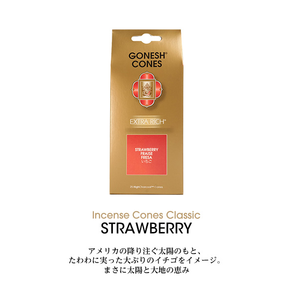 GONESH（ガーネッシュ） インセンス コーン Cones お香 Extra rich