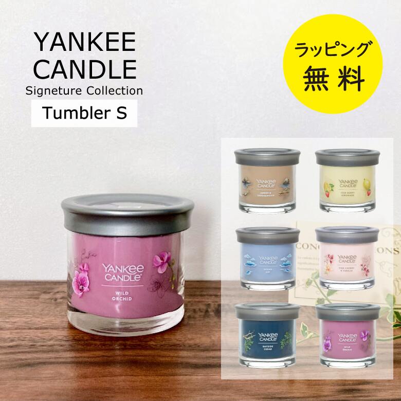 Yankee Candle 秋の香り2個セット Amazon.com: Yankee Candle Balsam & Cedar Scented, Classic