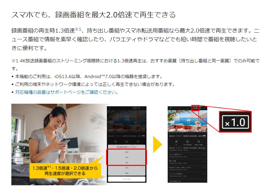 Panasonic 4Kディーガ DMR-4T303