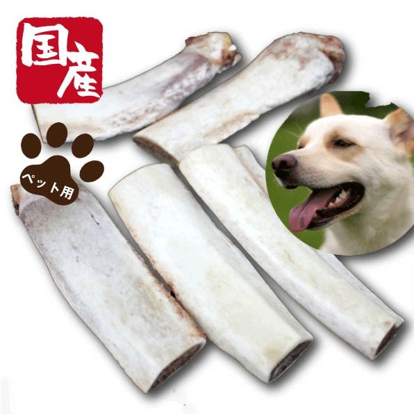 ペット用国産牛バラ骨500g　ペット　ペットフード　ドッグフード　ペットのお肉　犬　愛犬｜kadoyabokujou