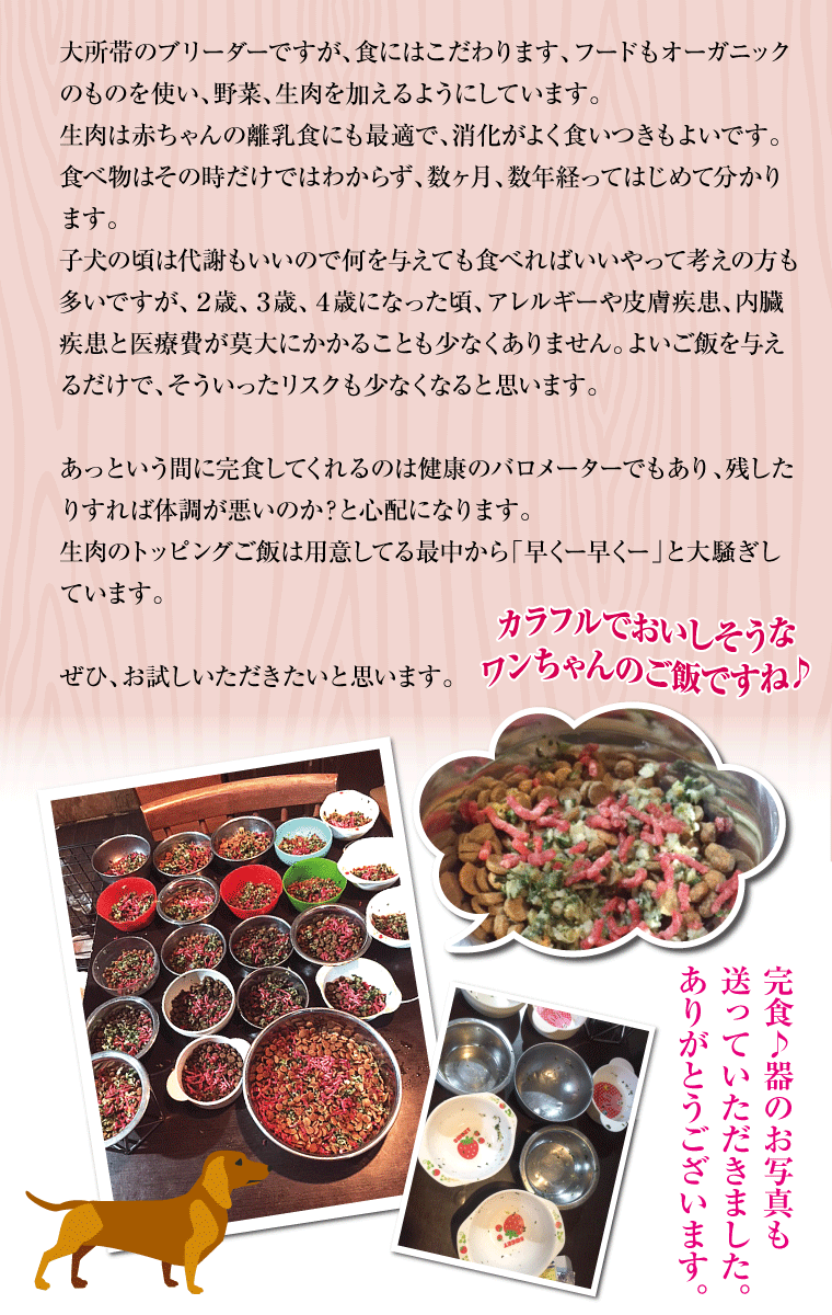 ペット用国産馬肉パラパラミンチ500g 【在庫有】 粗挽き