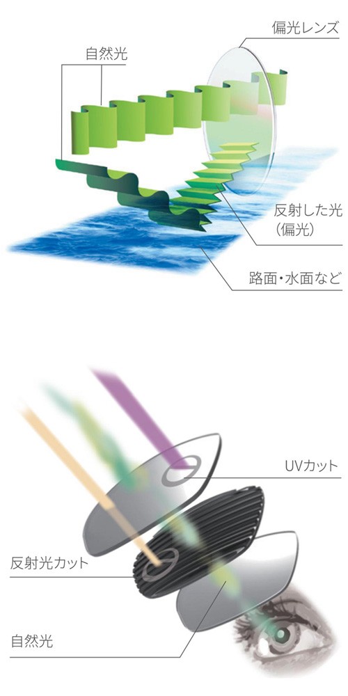 偏光レンズ1
