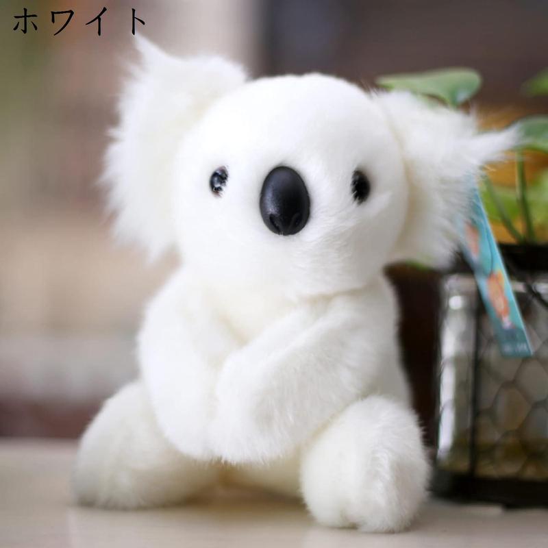 tk0312kedw348h-2.jpg