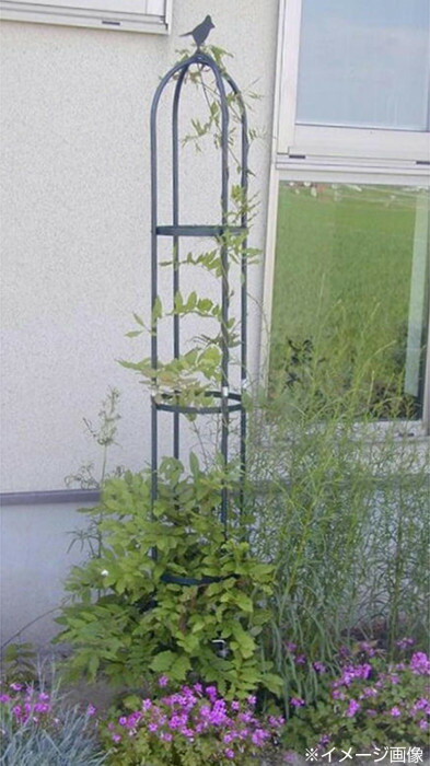 植物支柱 リング支柱 円形 丸形 つる性植物 園芸支柱 ガーデニング用品