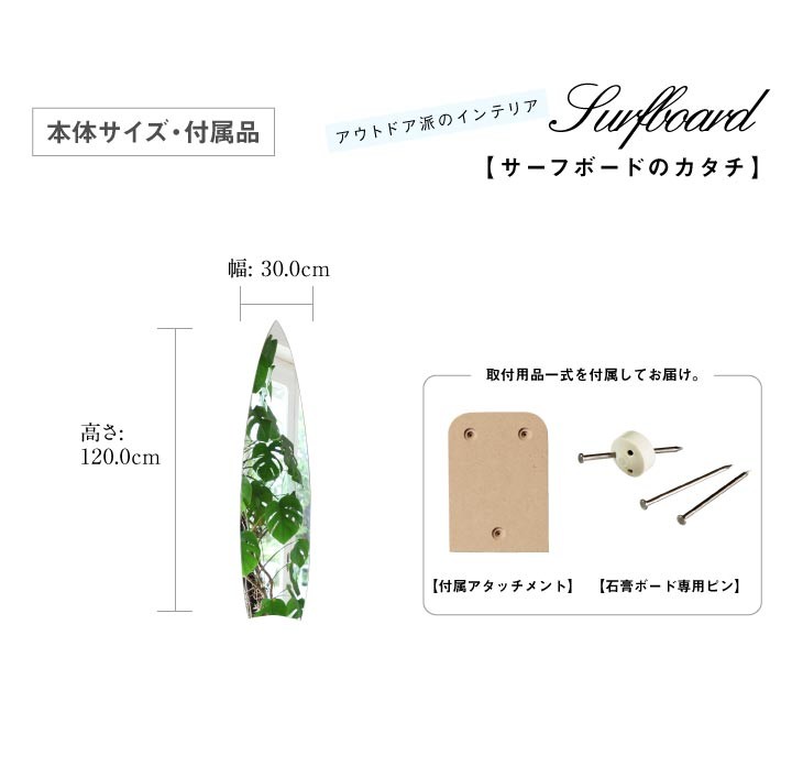 鏡ショップミラリス 鏡 壁掛け 全身 アウトドア サーフ