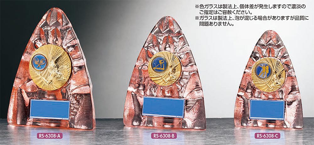 【プレート彫刻無料】ガラス製楯RS-6308-B　表彰・記念品・レプリカ