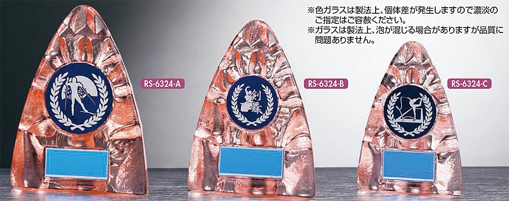 【プレート彫刻無料】ガラス製楯RS-6324-C　表彰・記念品・レプリカ