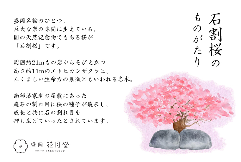 石割桜