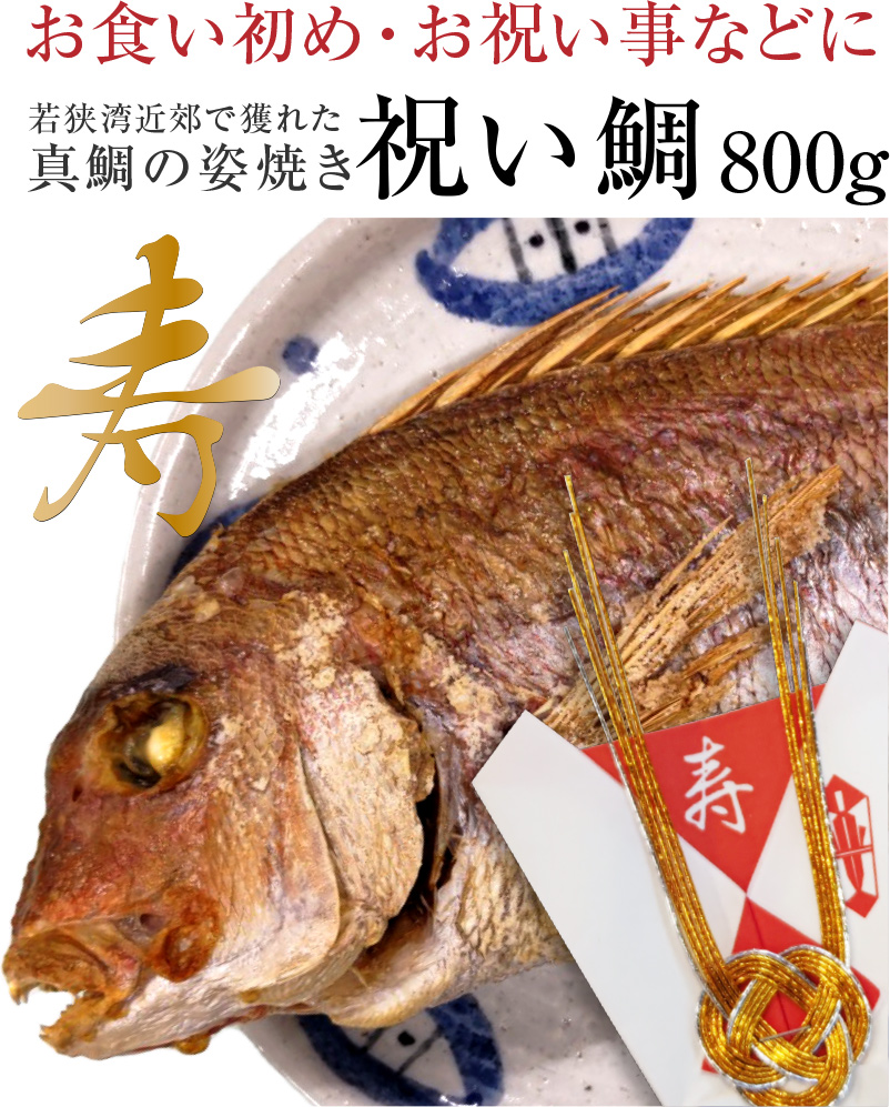 【送料無料】【冷凍】ギフト対応祝い鯛 大（約800ｇ）若狭湾で水揚げされた真鯛を焼き上げてお届け [_212605-8_]【NE】