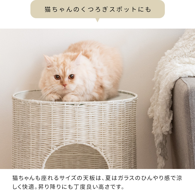 楽天市場】猫愛好家が作った家具 センターテーブル ローテーブル
