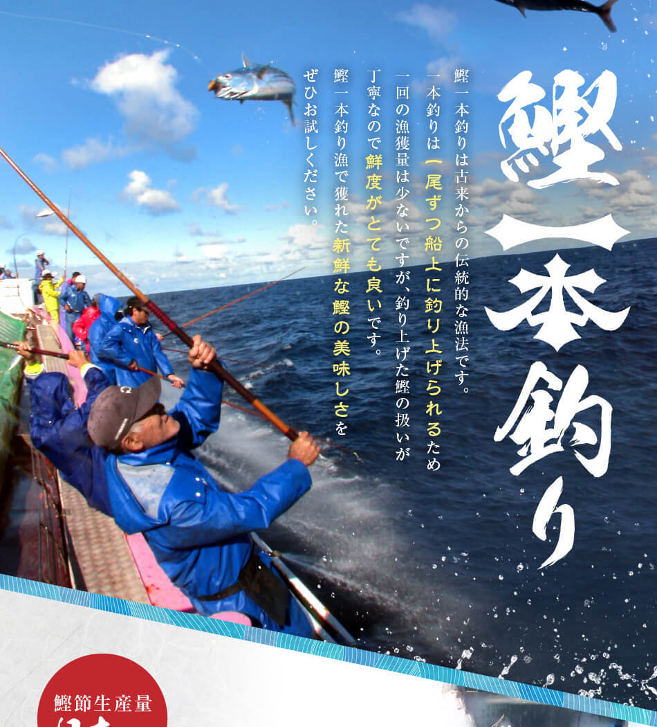 お歳暮 2025 ぶえん鰹 ぶえんかつお 刺身 1.2kg 枕崎 鰹 10人から12