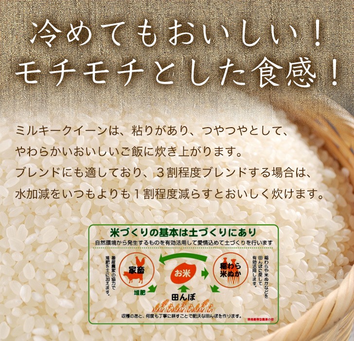 ミルキークイーン 令和6年産 新米 10kg(5kg×2) お米 鹿児島県産