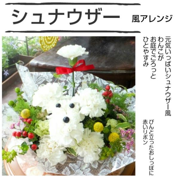 花 誕生日 プレゼント プードルアレンジ チワワ シーズー シュナウザー