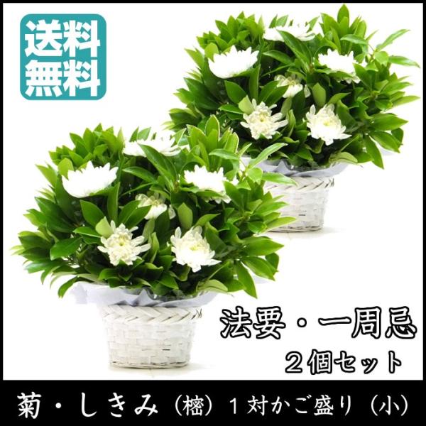 一対セット お供え お悔やみ 花 仏花 菊 しきみ アレンジ(小) ２個組 四十九日 一周忌 : 1set-kiku-sikimi : 生花専門店  フラワーギフト花on - 通販 - Yahoo!ショッピング