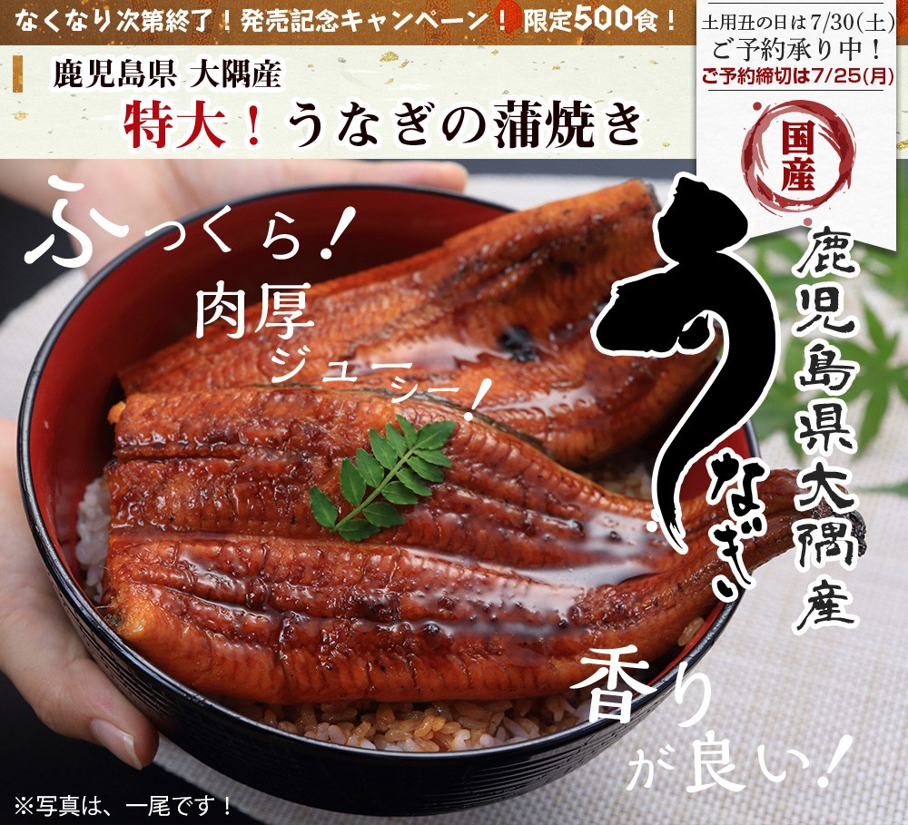 鹿児島 うなぎ 大隅産 鰻の蒲焼き 特大肉厚で美味しい 国産ウナギ 200g×4尾 山椒・タレ付 送料無料 土用丑の日 うなぎ 父の日 贈り物 ギフト  :unagi04-s:かごしま美水の郷・温泉水99 - 通販 - Yahoo!ショッピング