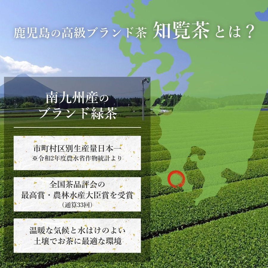 お茶 緑茶 送料無料  知覧茶 高級 老舗 深むし茶 深蒸し茶 鹿児島茶 茶葉 知覧金印 100ｇ×2本セット｜kagoshimachaen｜03