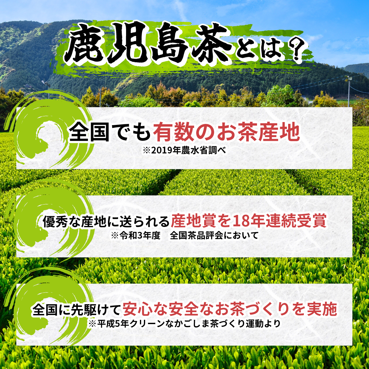 お茶 緑茶 茶葉 日本茶 茶問屋のあまくておいしい鹿児島茶 220ｇ : h