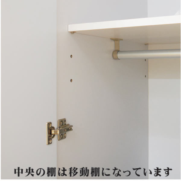 ワードローブ 服吊り ロッカー クローゼット タンス 50幅 幅50cm 整理