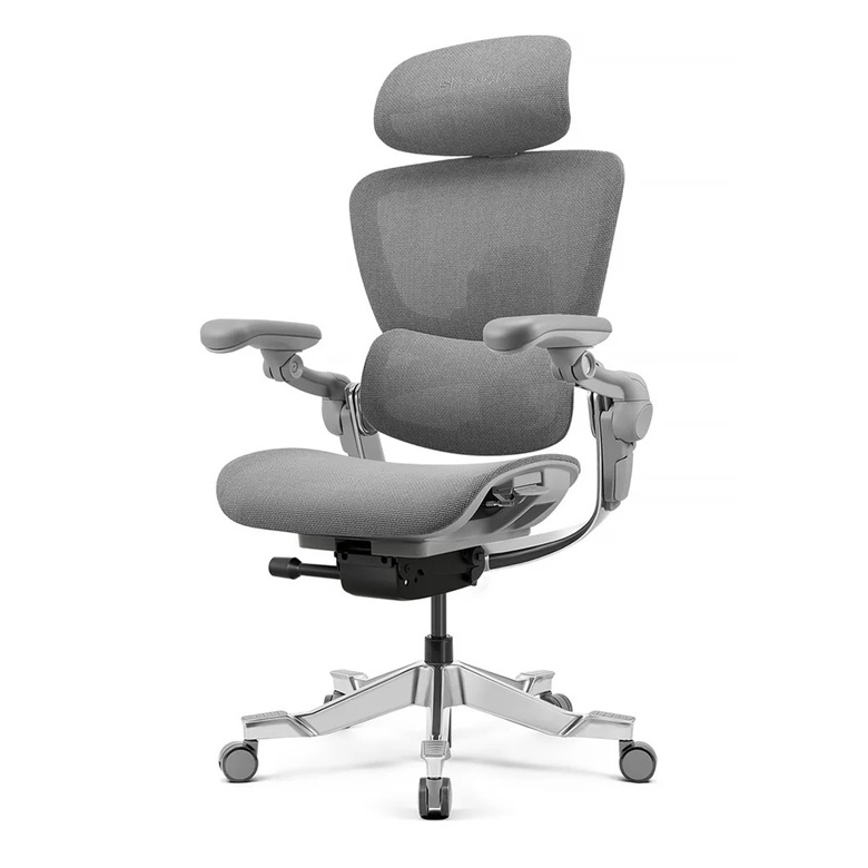 HINOMI H2 PRO エルゴノミクス オフィスチェア 人間工学 高性能 3D