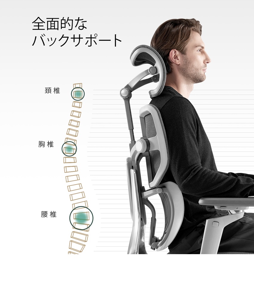 HINOMI X1 エルゴノミクス オフィスチェア Lサイズ 高性能 人間工学 3D