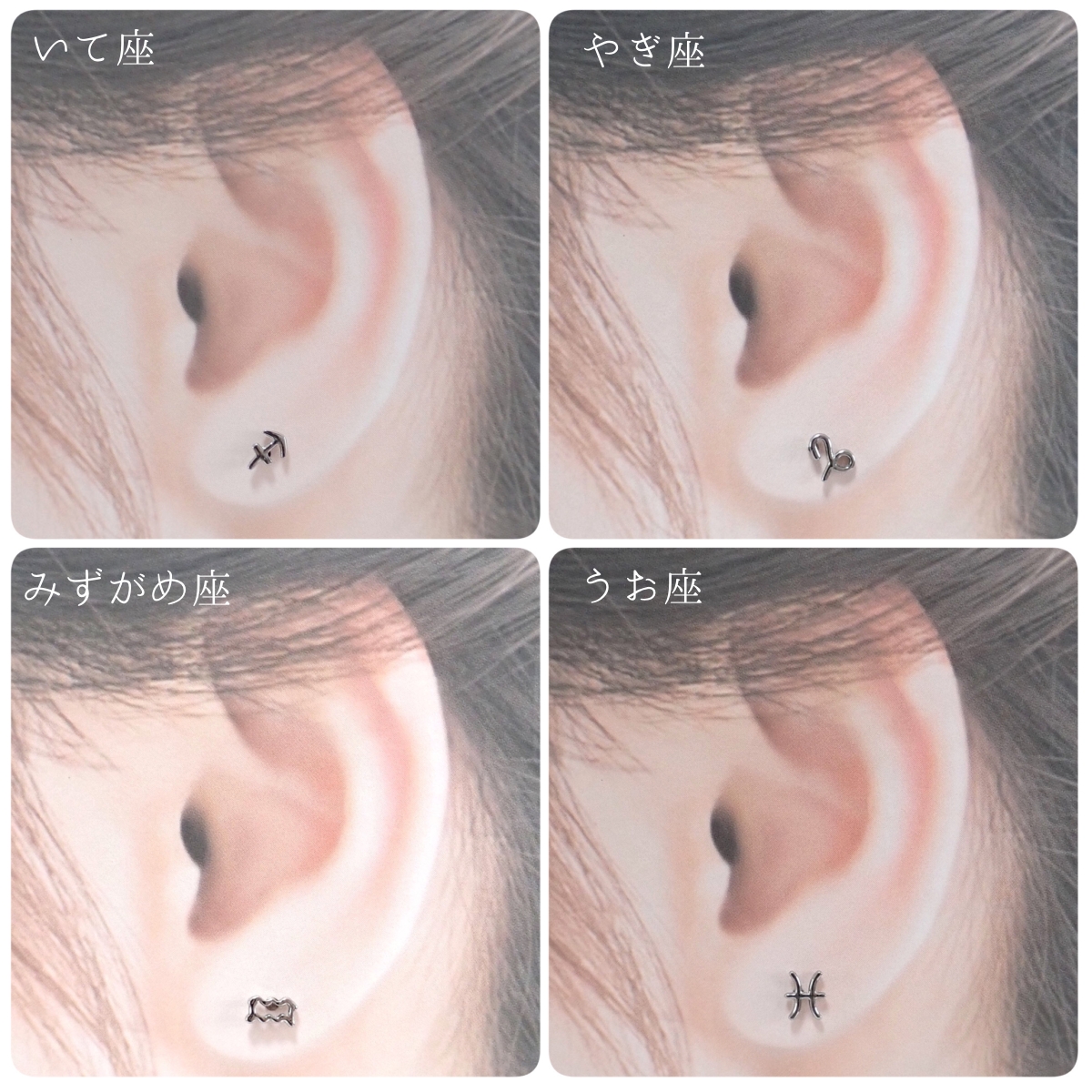 ピアス 両耳用 レディース サージカルステンレス製 12星座 星座