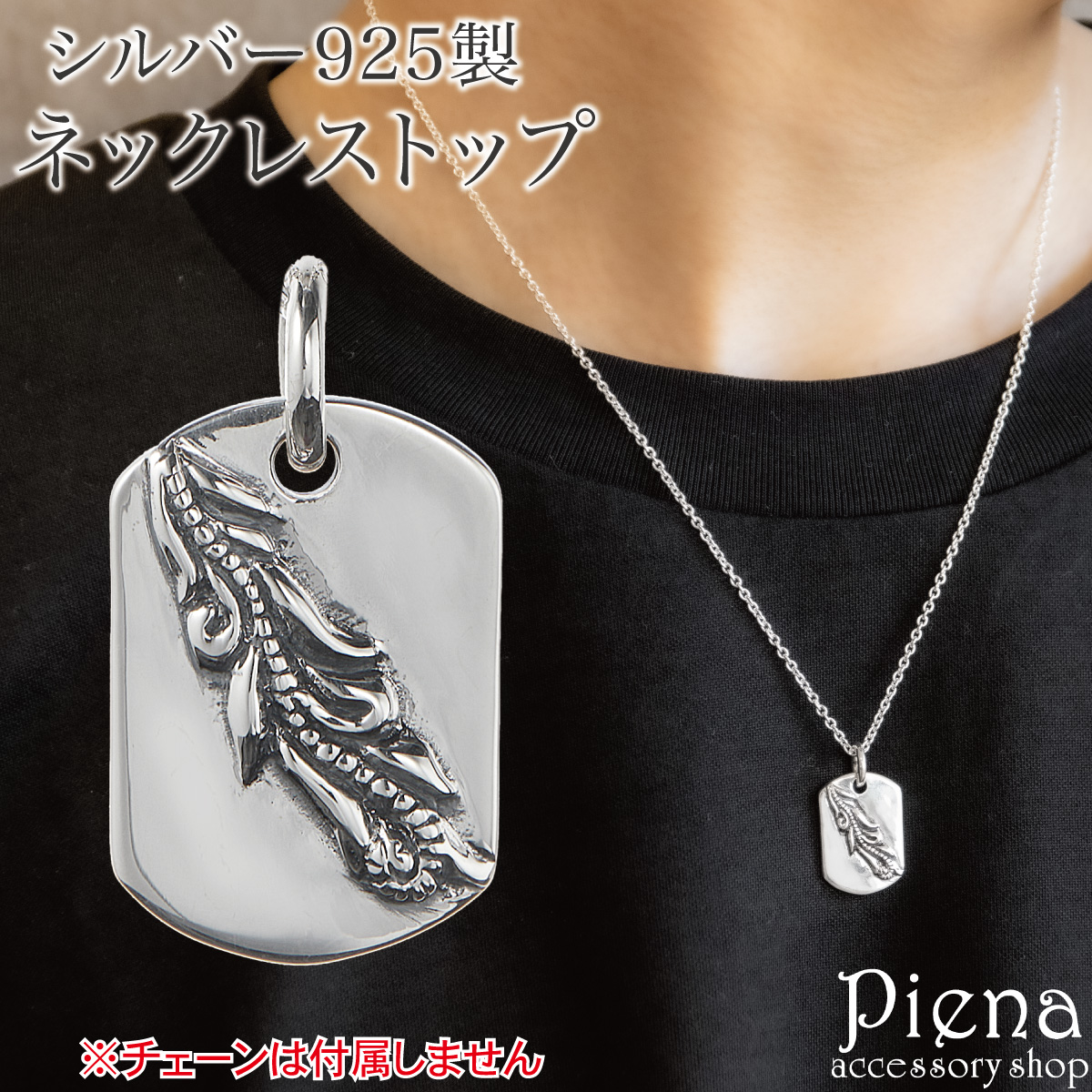 ペンダントトップ ネックレストップのみ メンズ レディース シルバー